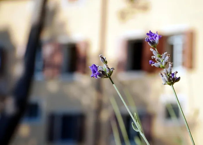 Otel Dorigny Dimora Storica Con Giardino Verona