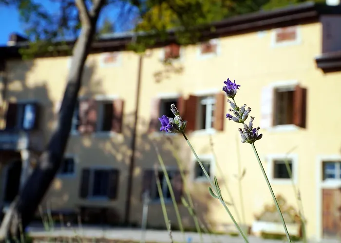 Dorigny Dimora Storica Con Giardino Verona
