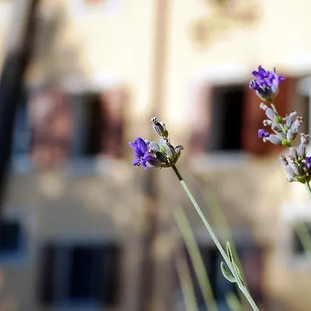 Gasthof Dorigny Verona