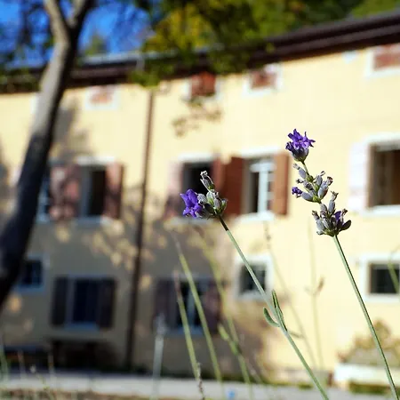 Dorigny Dimora Storica Con Affreschi E Giardino ヴェローナ